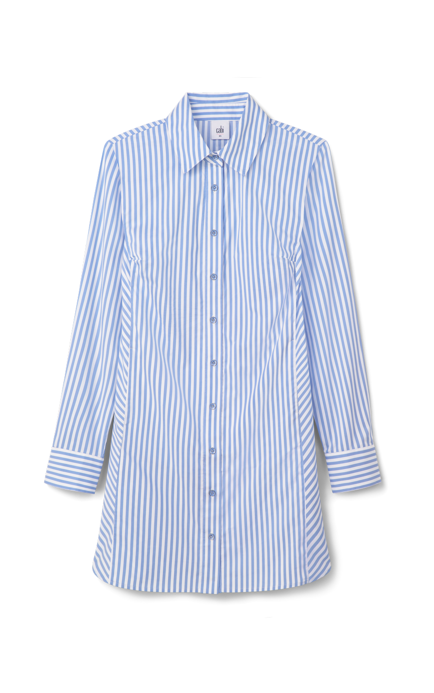 Dress Up Shirt